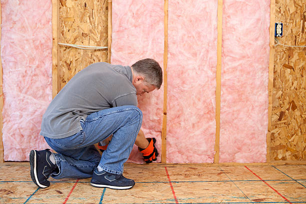 Best Radiant Barrier Insulation  in New Lenox, IL